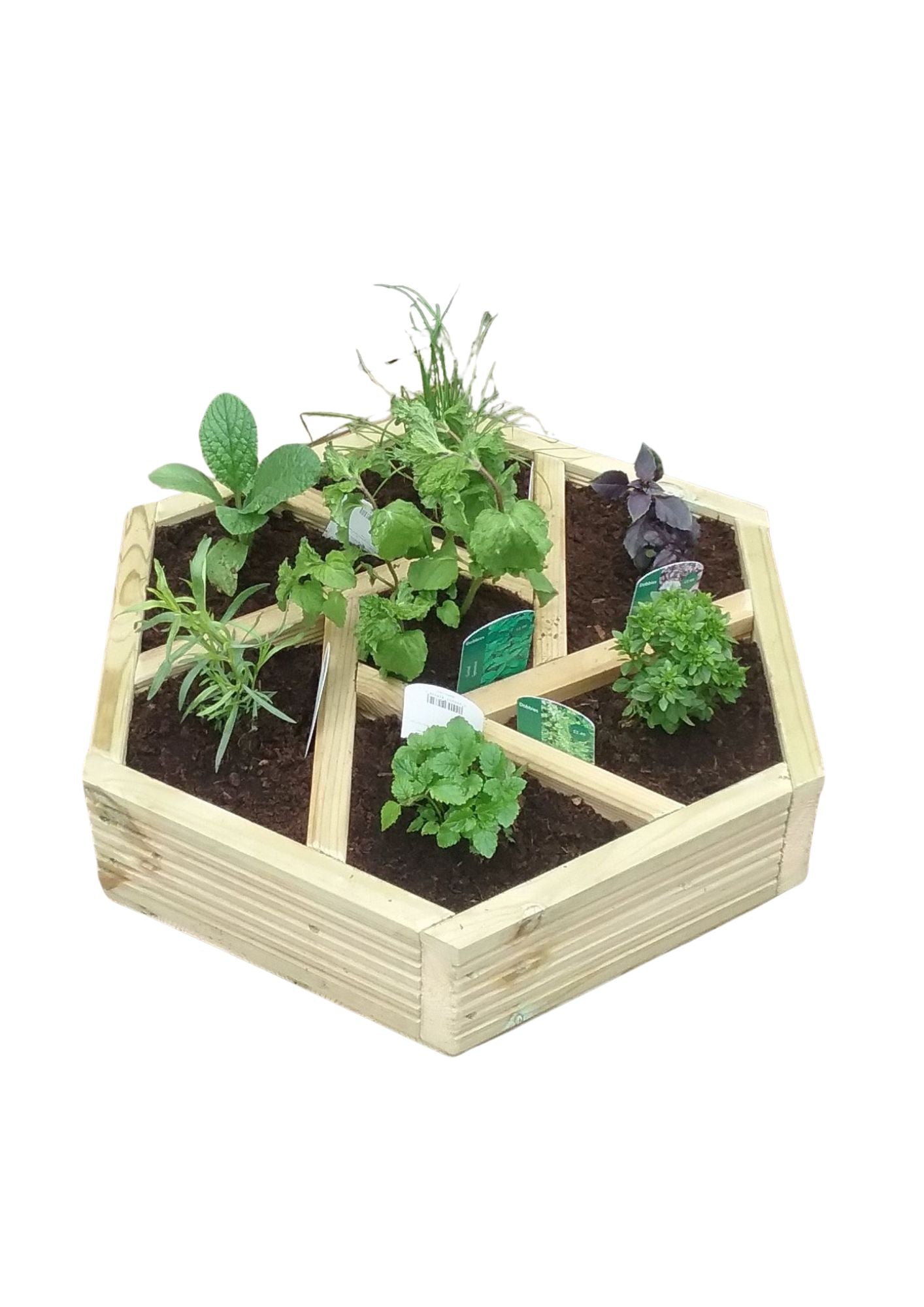 Holzbeet Kräuterhoch 7
