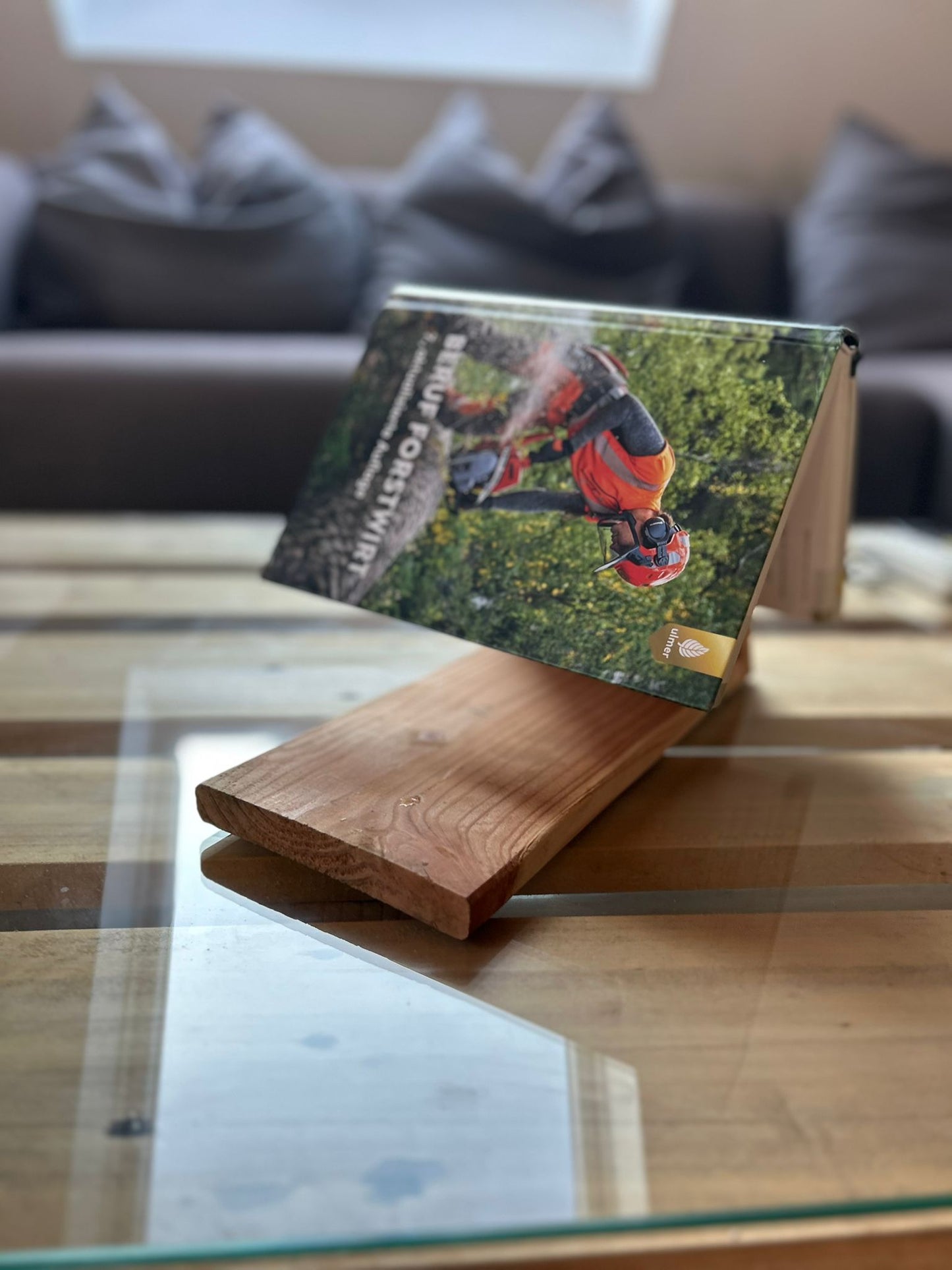 Buchhalter PageSaver