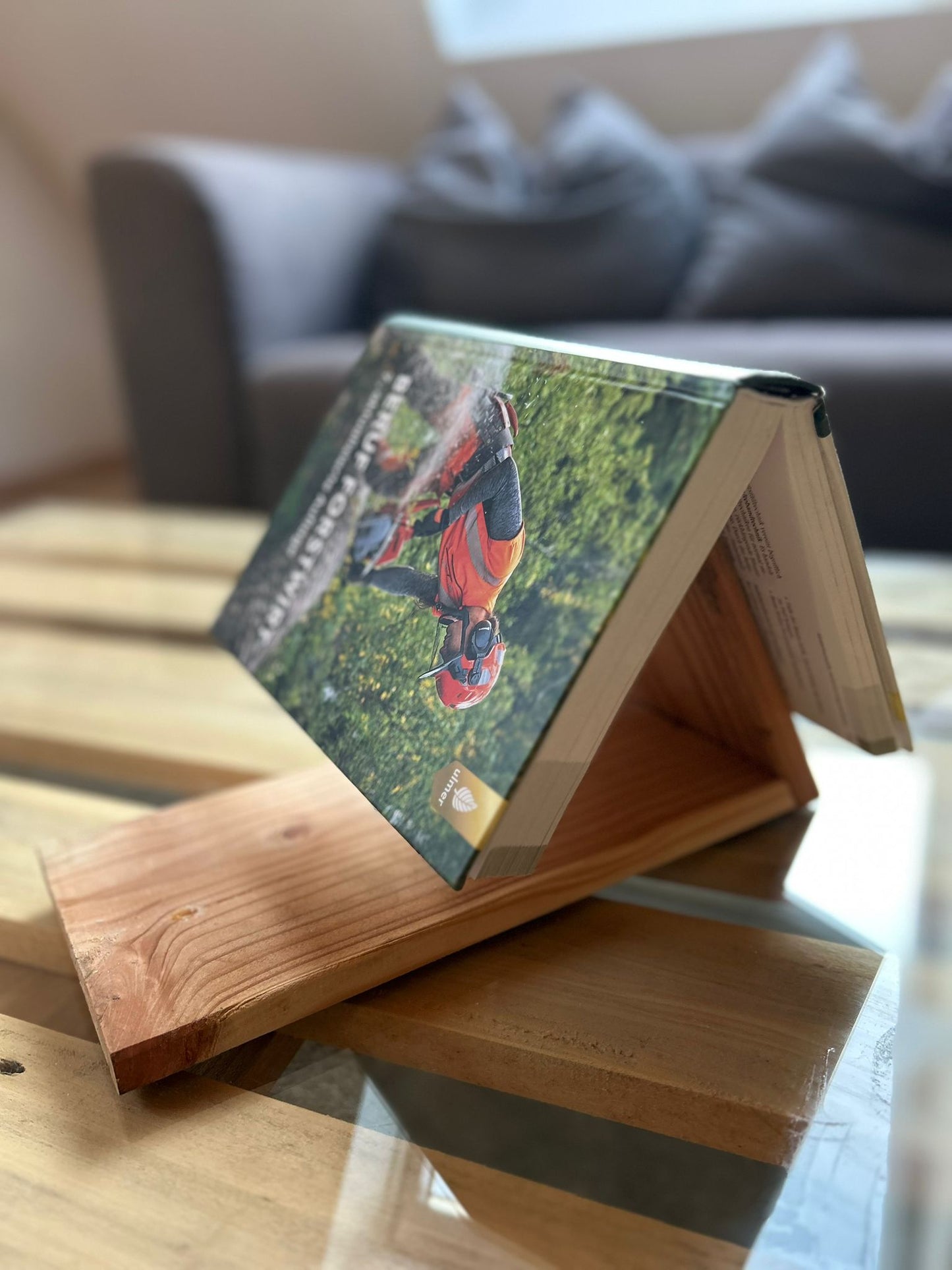 Buchhalter PageSaver